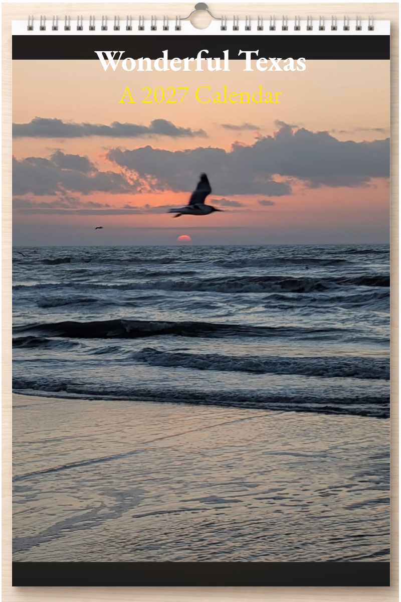 Wonderful Texas: A 2027 Calendar