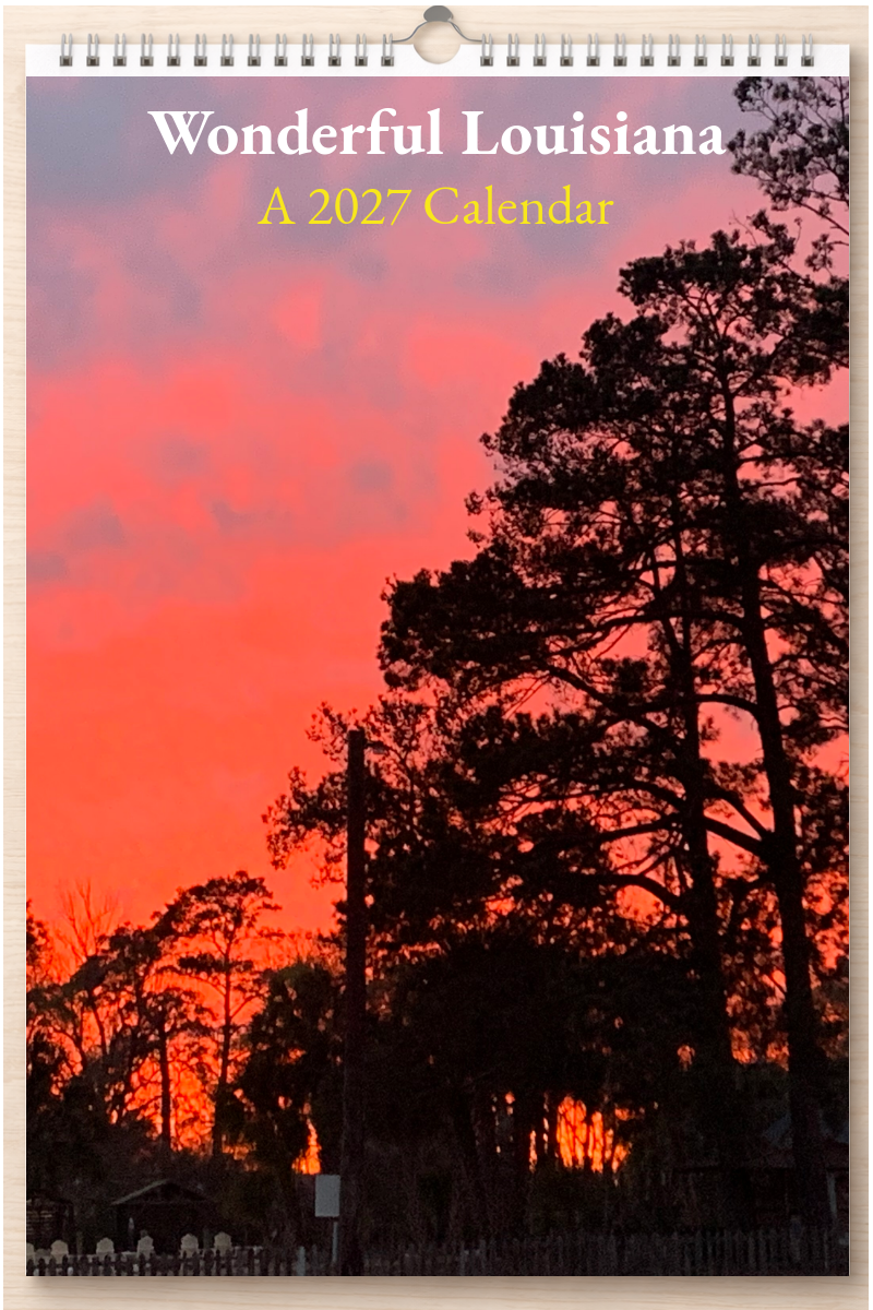 Wonderful Louisiana: A 2027 Calendar