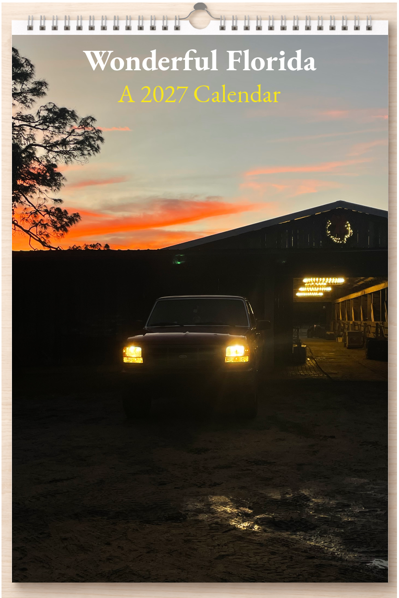 Wonderful Florida: A 2027 Calendar