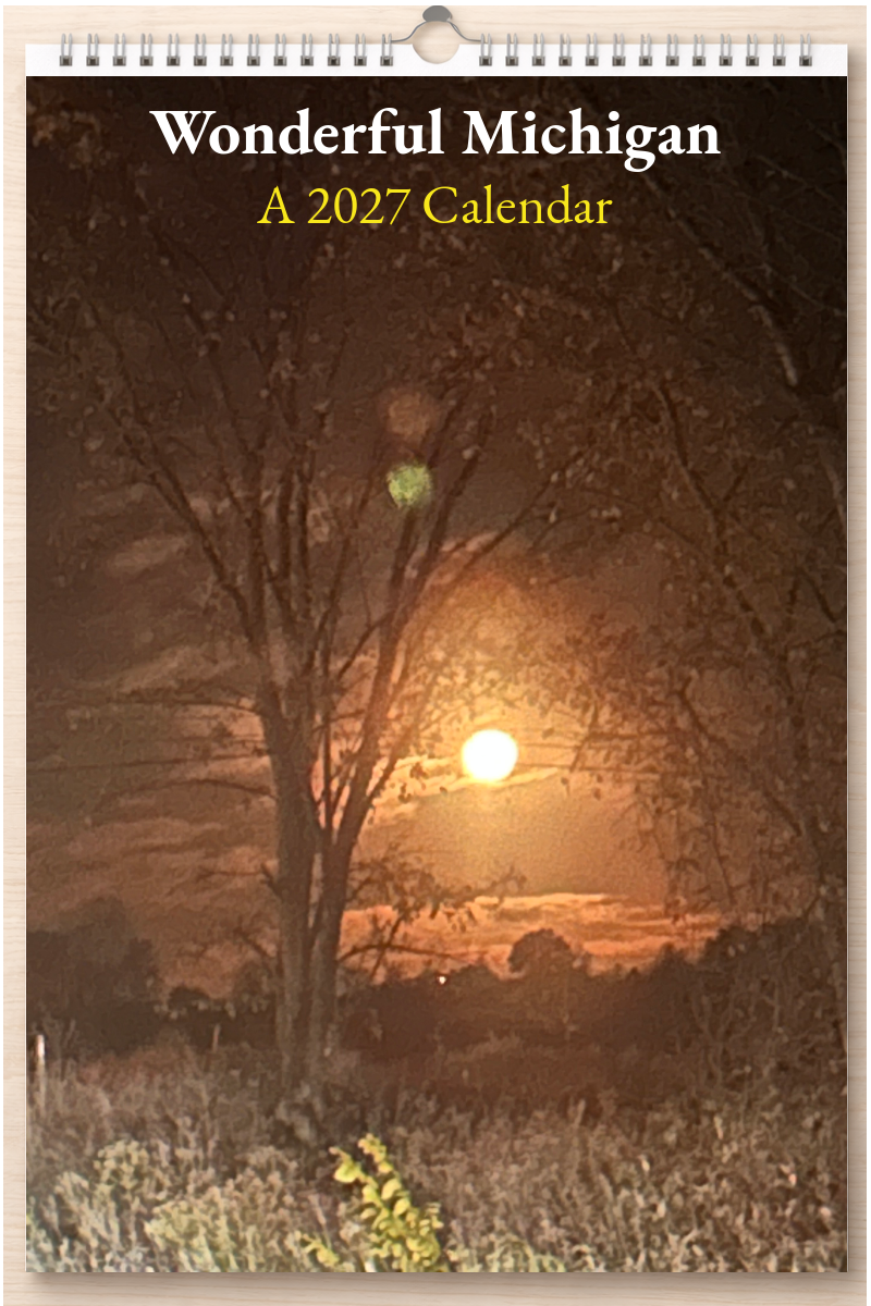 Wonderful Michigan: A 2027 Calendar