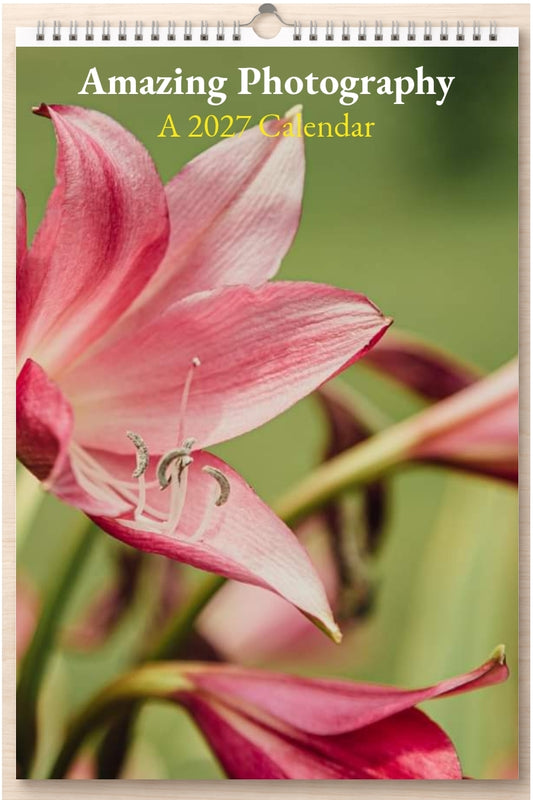 Amazing Photography: A 2027 Calendar