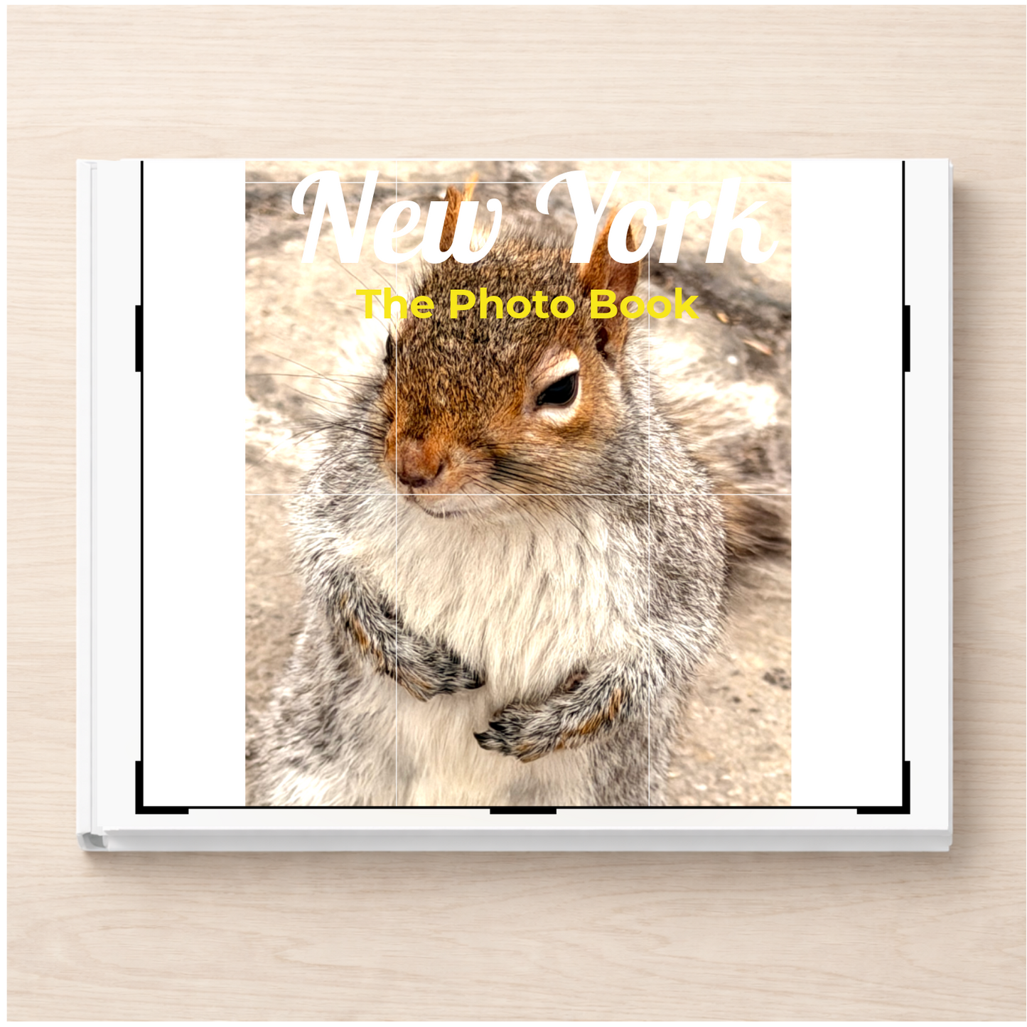 New York: The Photo Book
