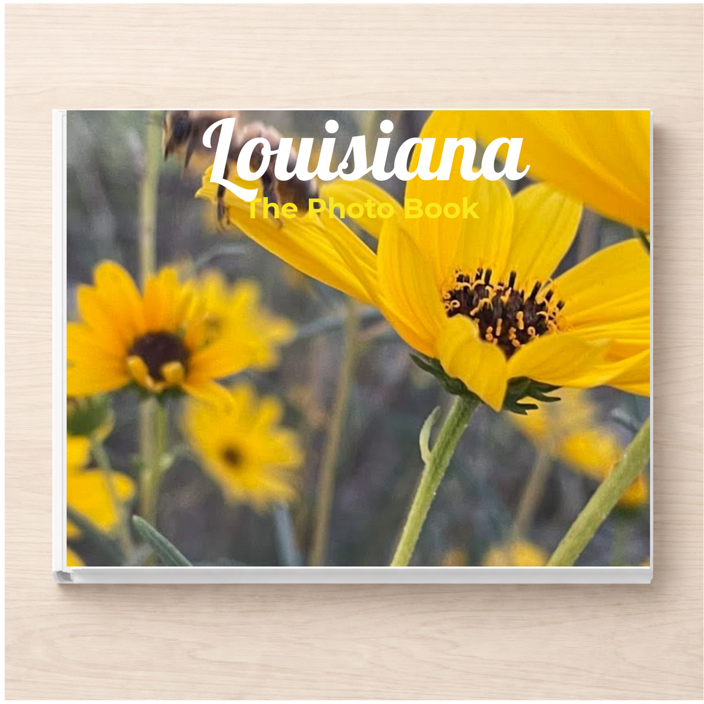 Louisiana: The Photo Book