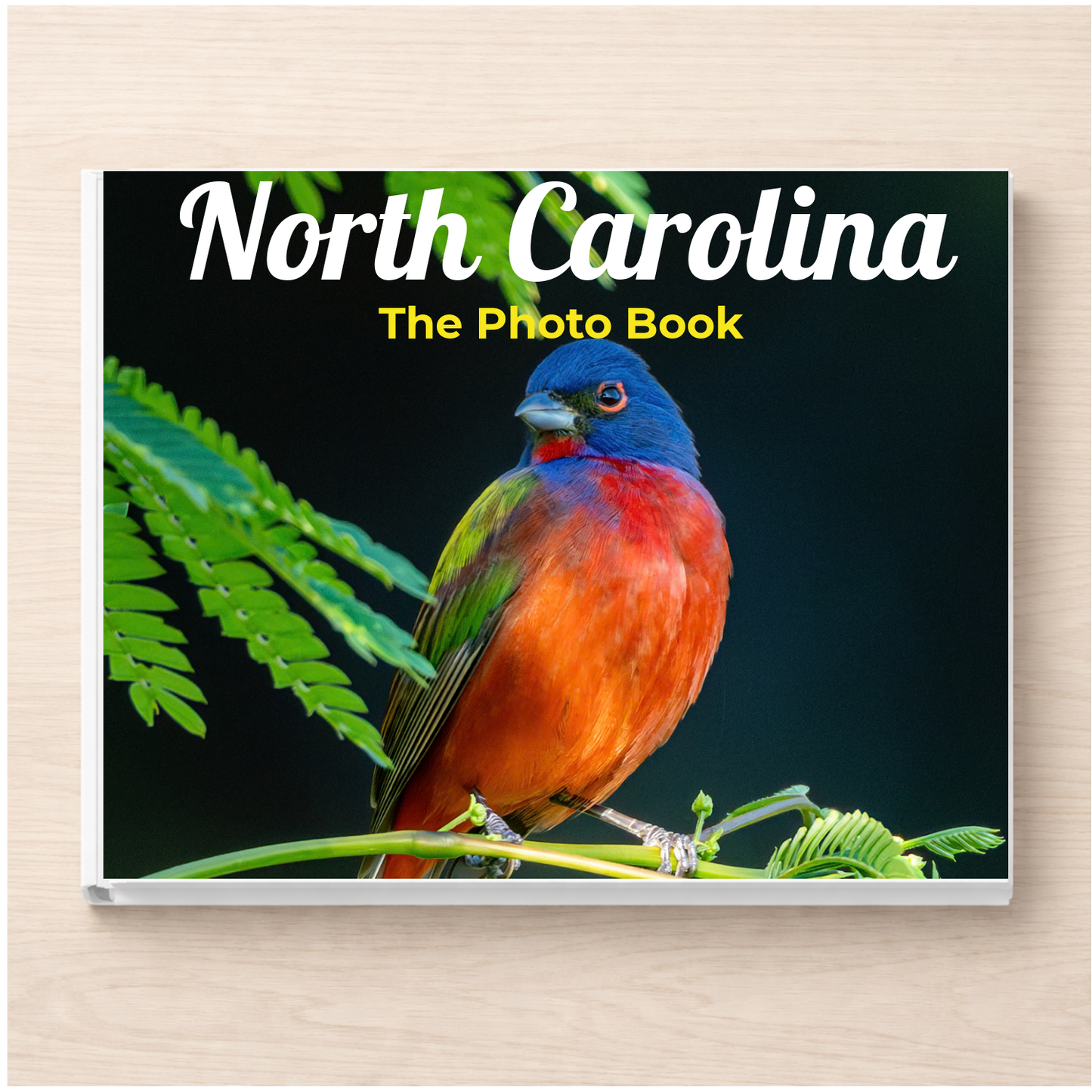 North Carolina: The Photo Book