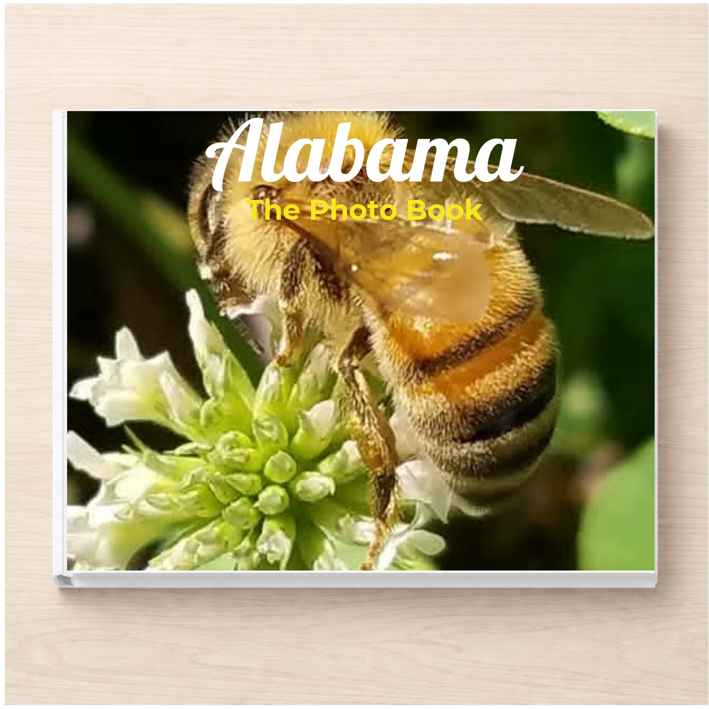 Alabama: The Photo Book