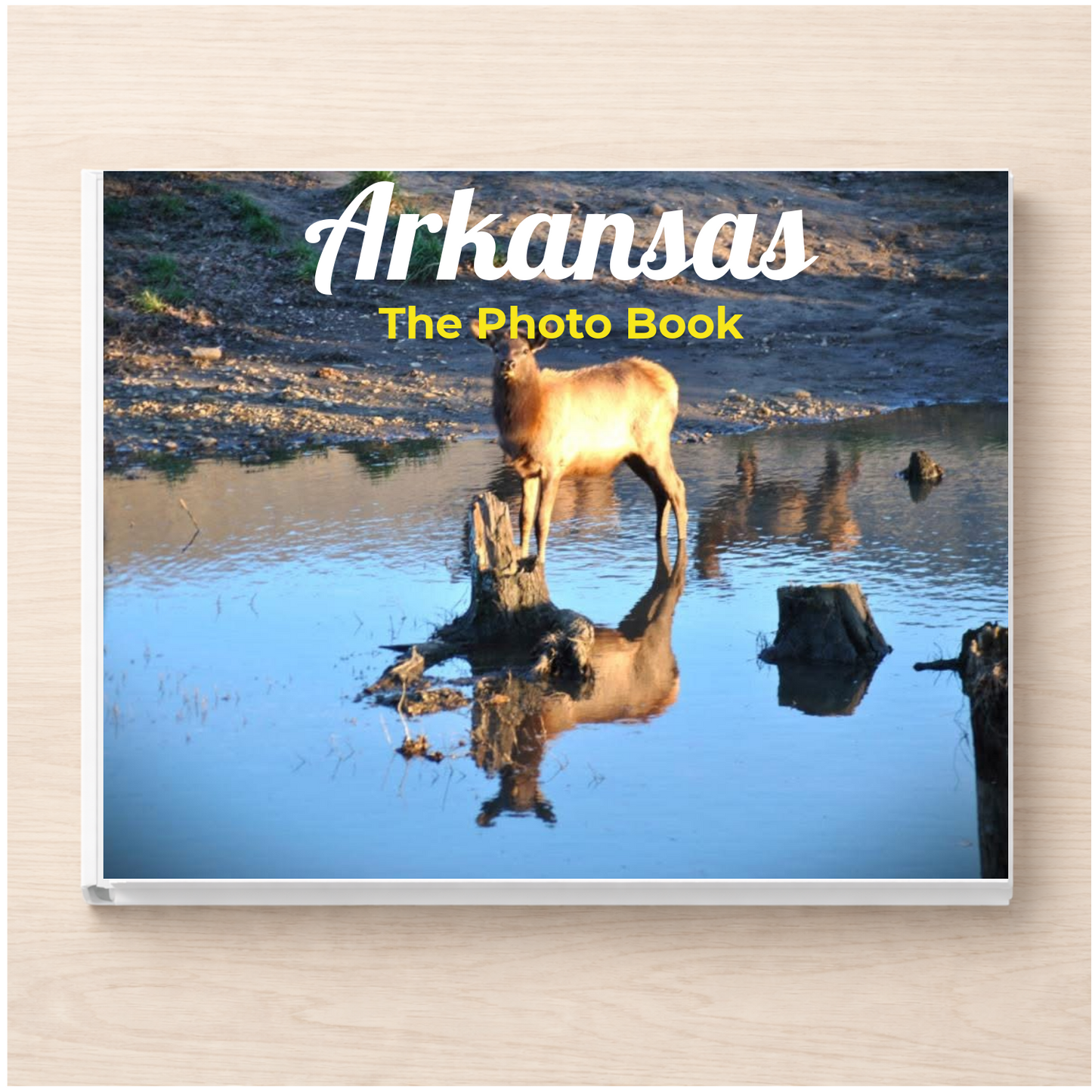 Arkansas: The Photo Book