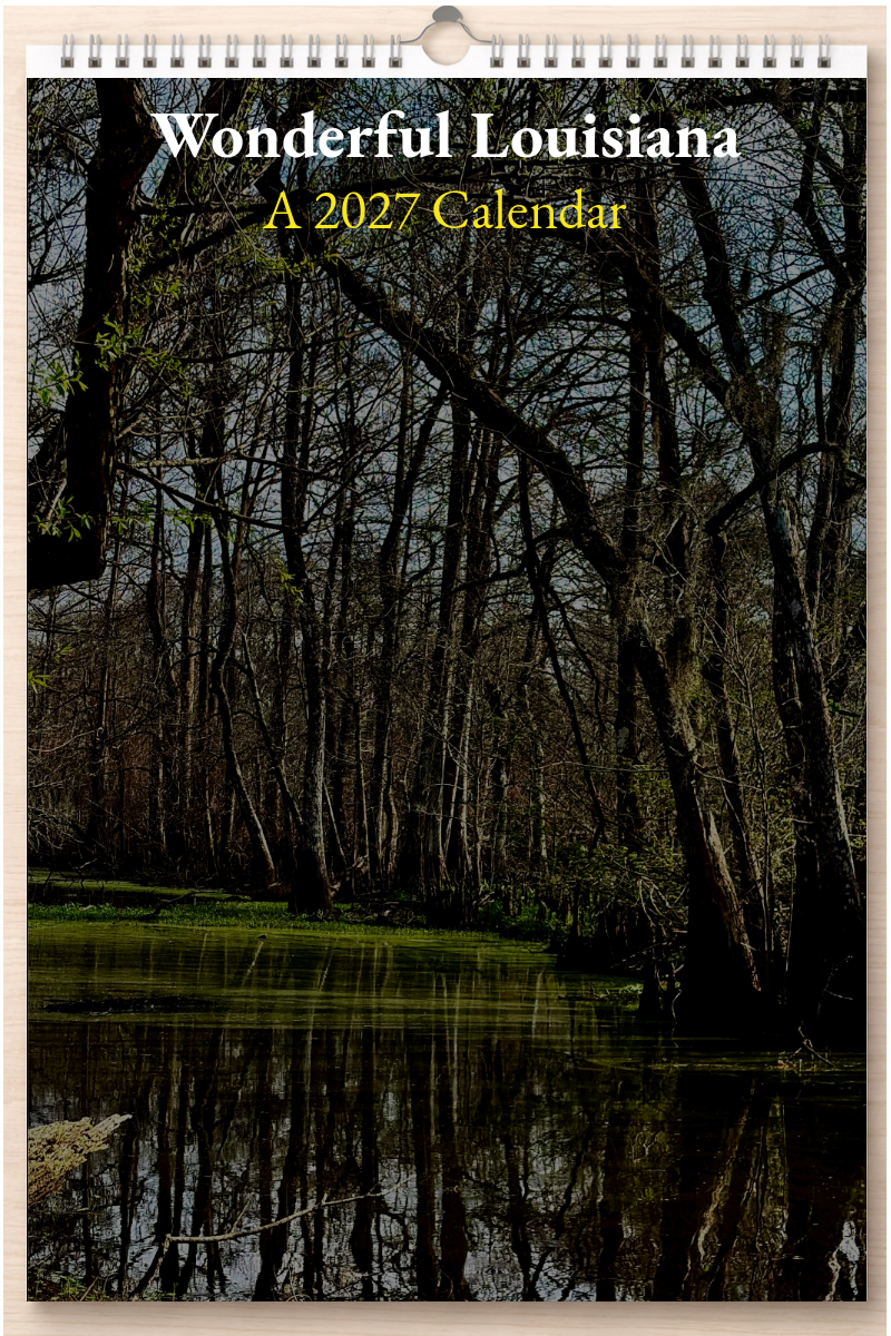 Wonderful Louisiana: A 2027 Calendar