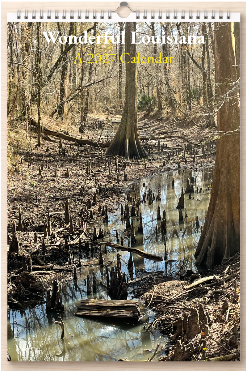 Wonderful Louisiana: A 2027 Calendar
