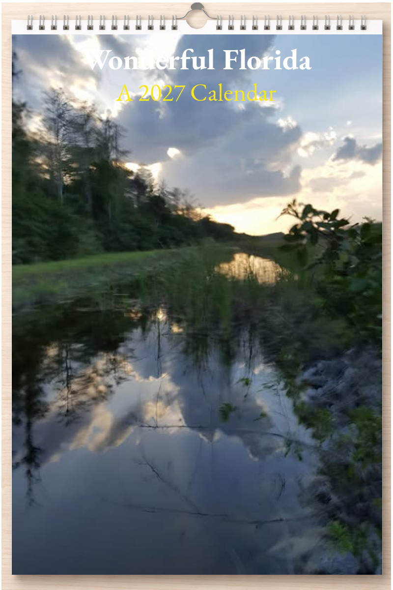 Wonderful Florida: A 2027 Calendar