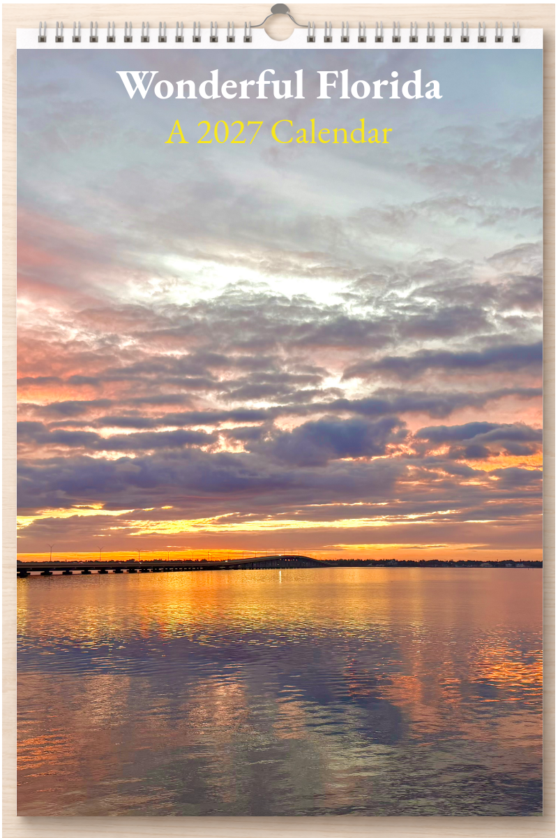 Wonderful Florida: A 2027 Calendar