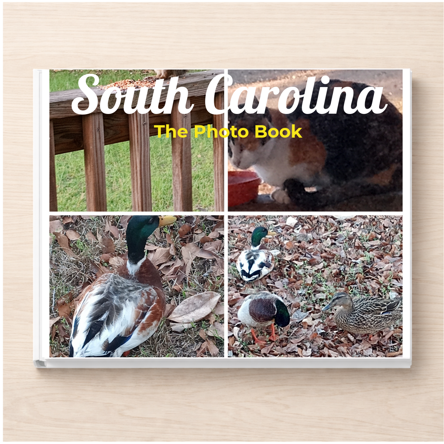 South Carolina: The Photo Book