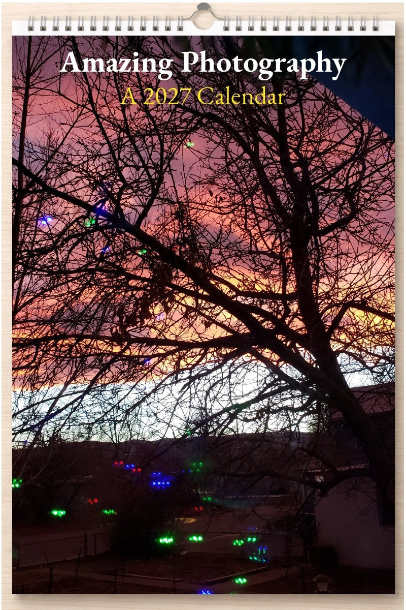 Amazing Photography: A 2027 Calendar