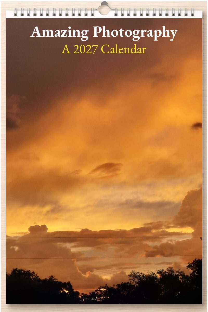 Amazing Photography: A 2027 Calendar