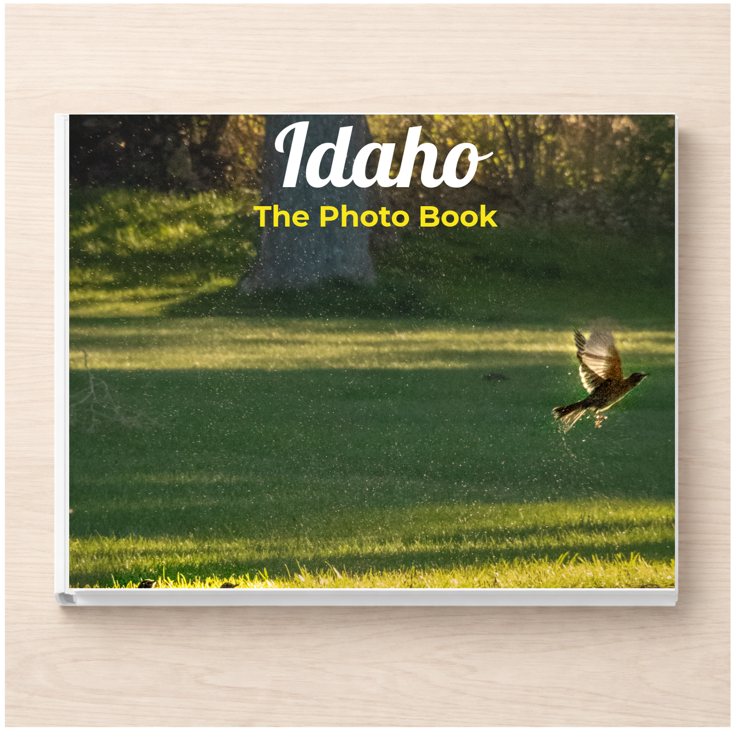 Idaho: The Photo Book