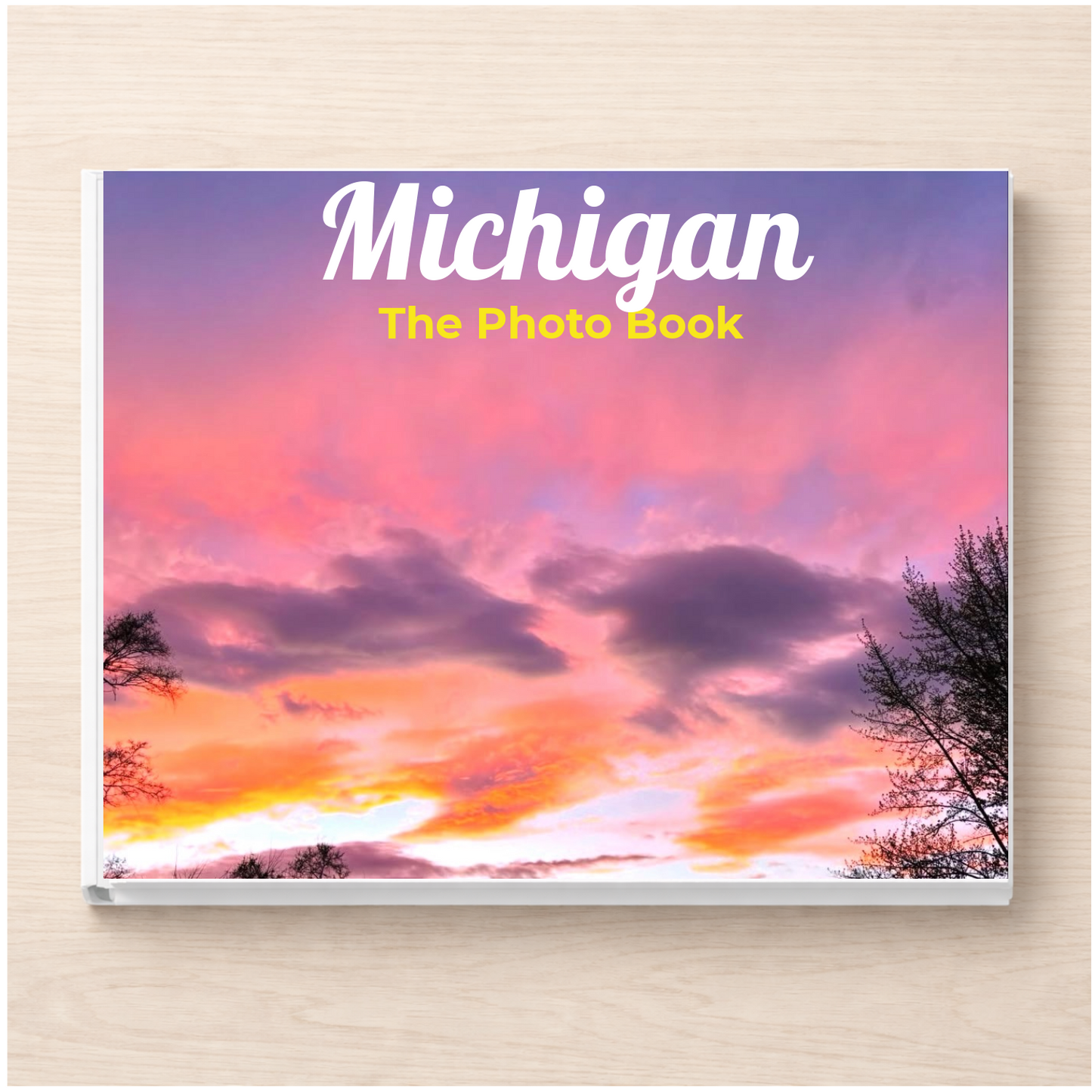 Michigan: The Photo Book