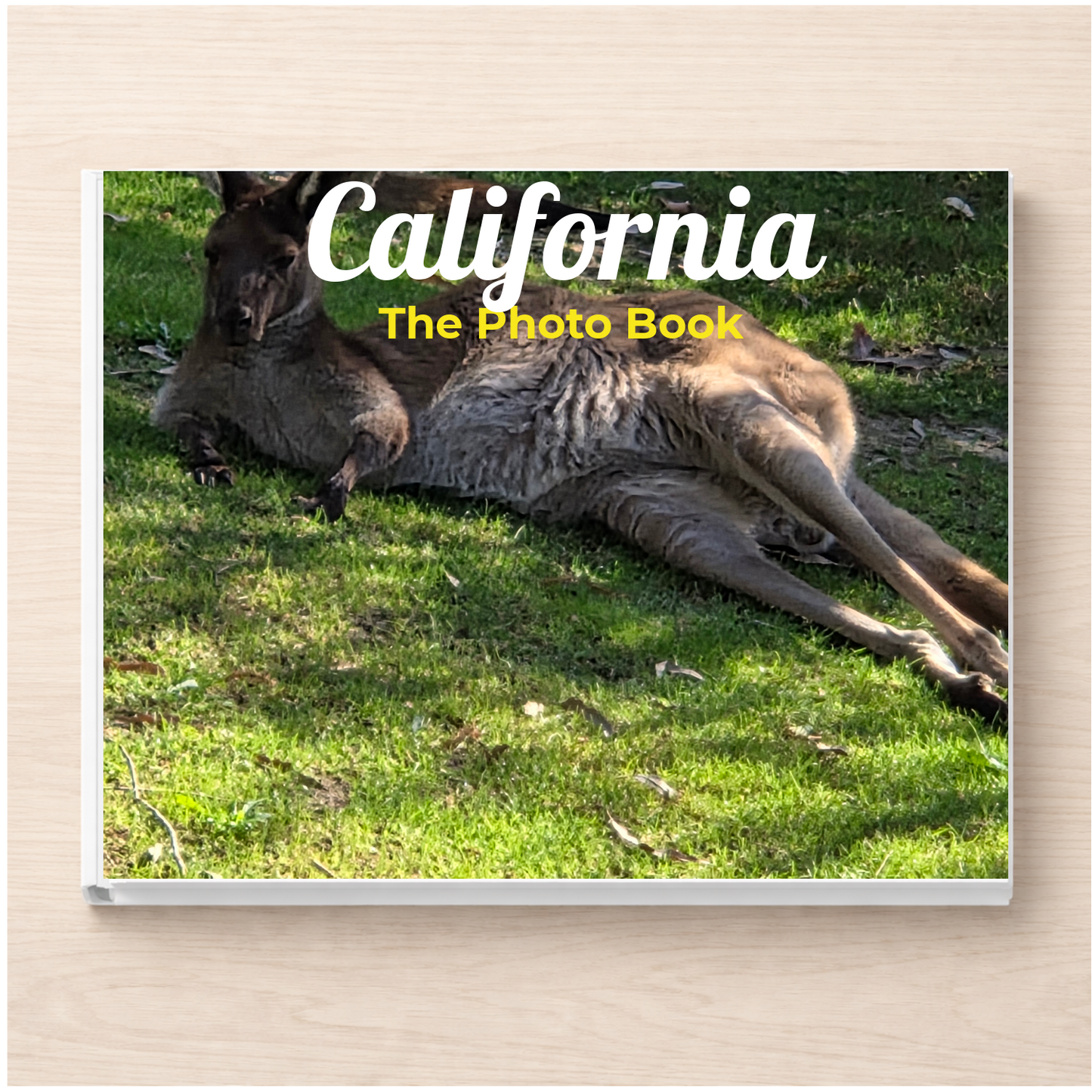 California: The Photo Book
