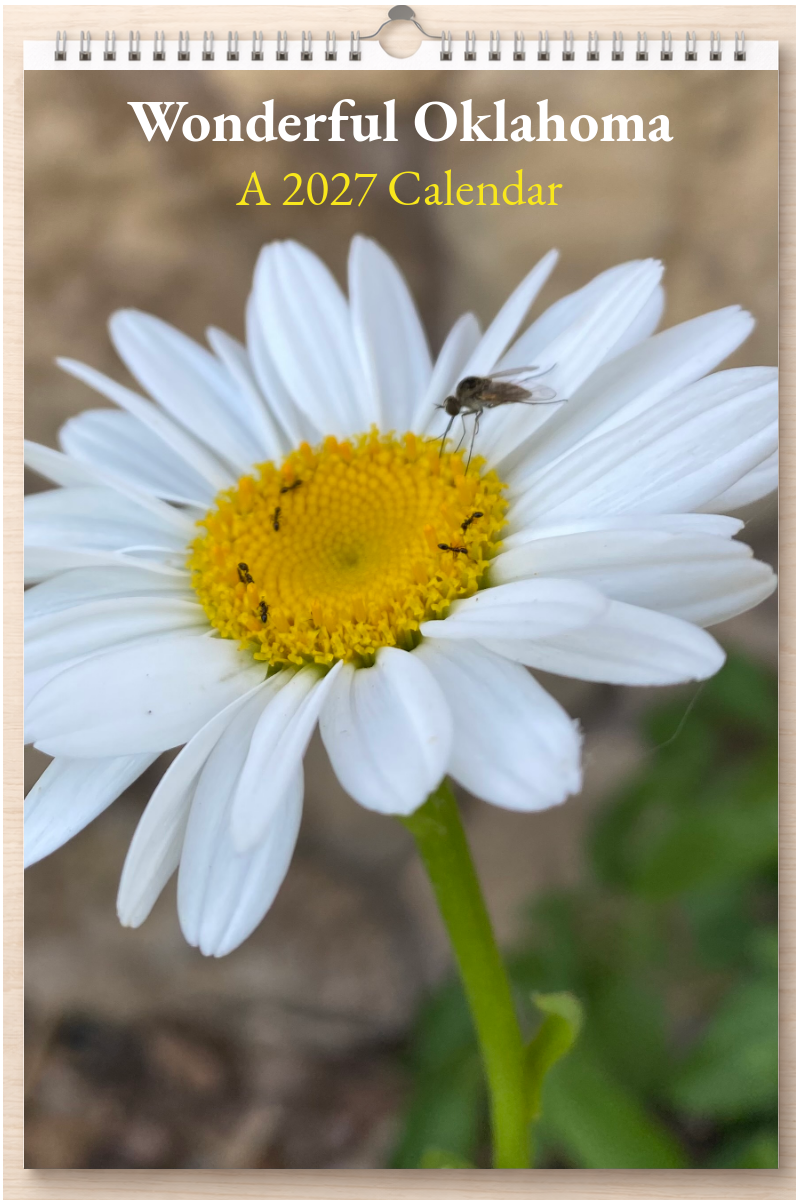 Wonderful Oklahoma: A 2027 Calendar