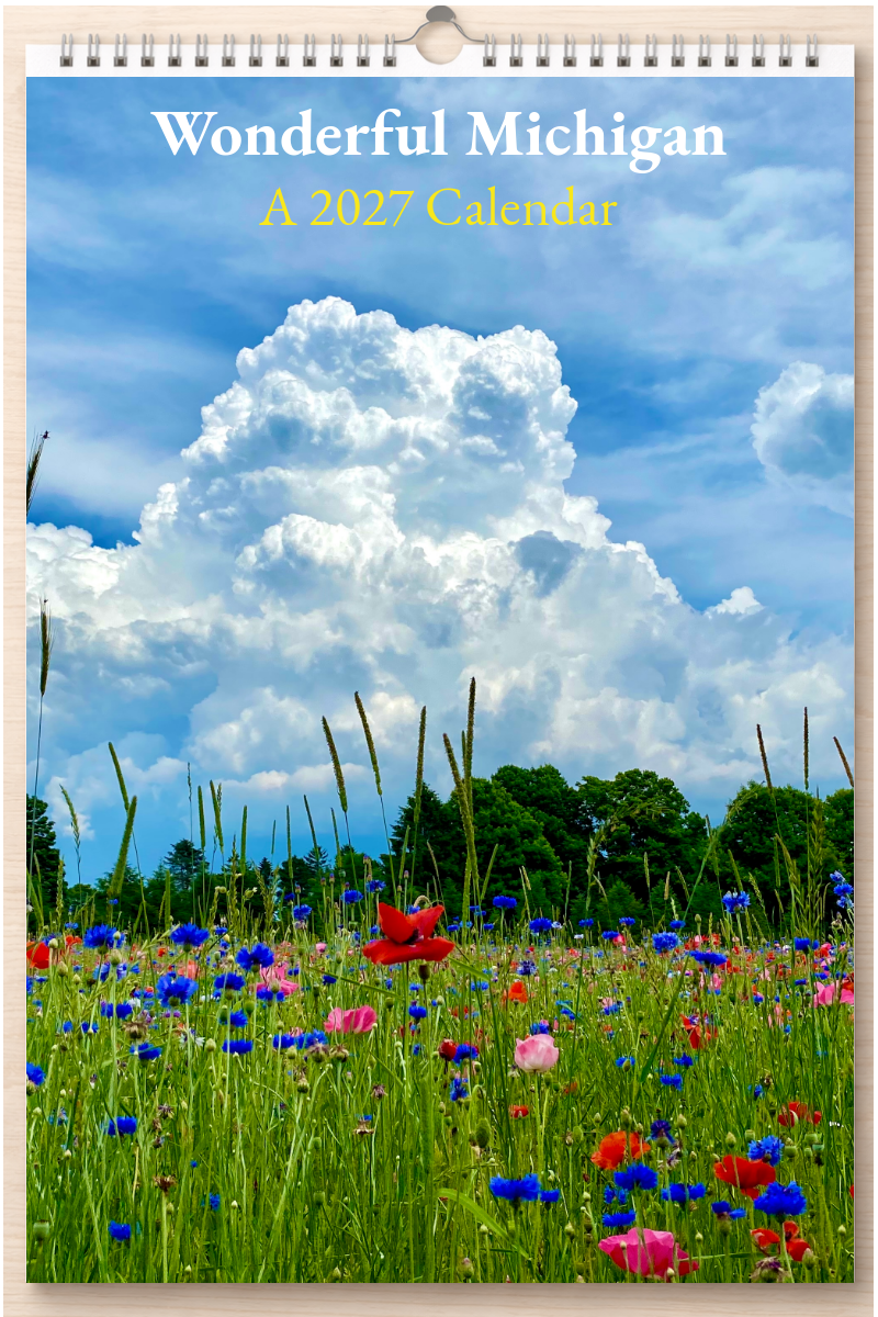 Wonderful Michigan: A 2027 Calendar