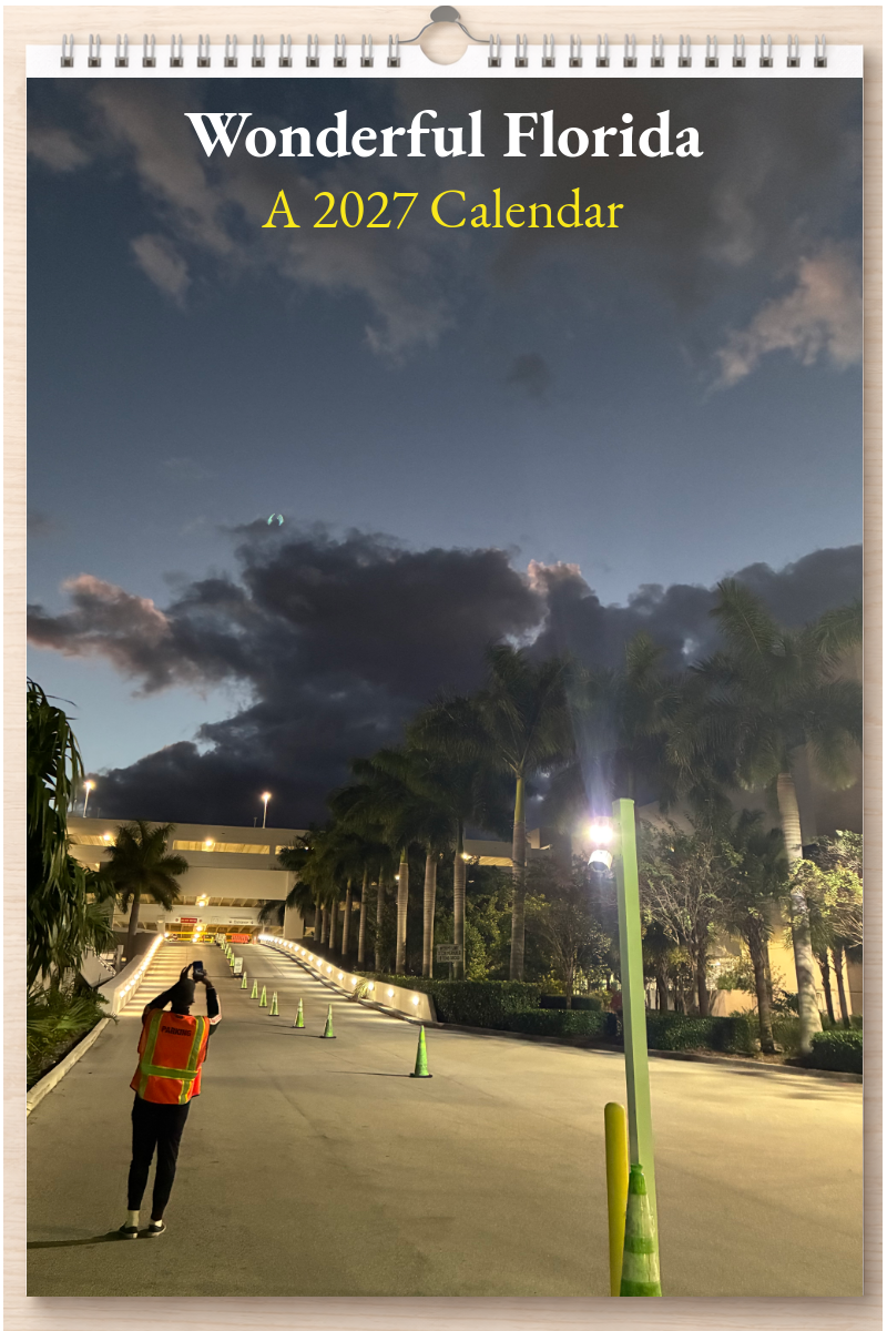Wonderful Florida: A 2027 Calendar
