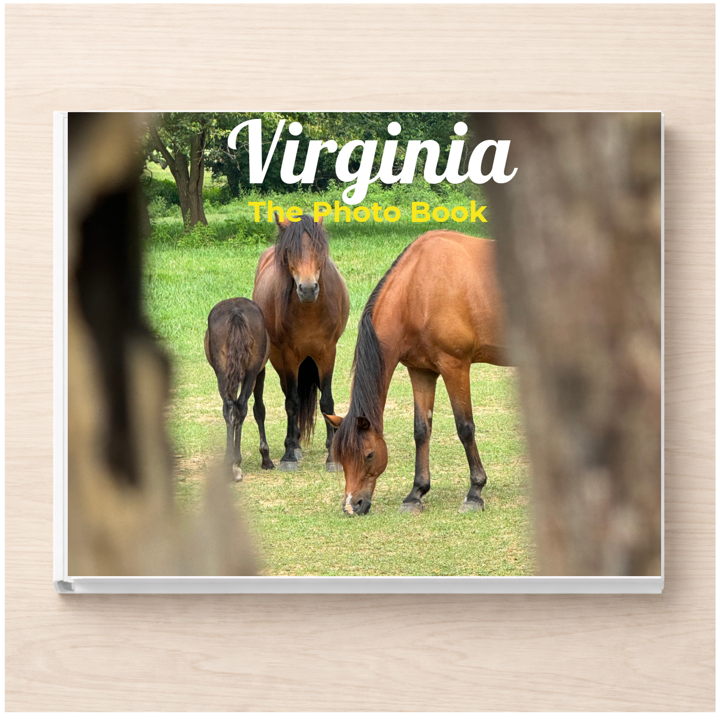 Virginia: The Photo Book