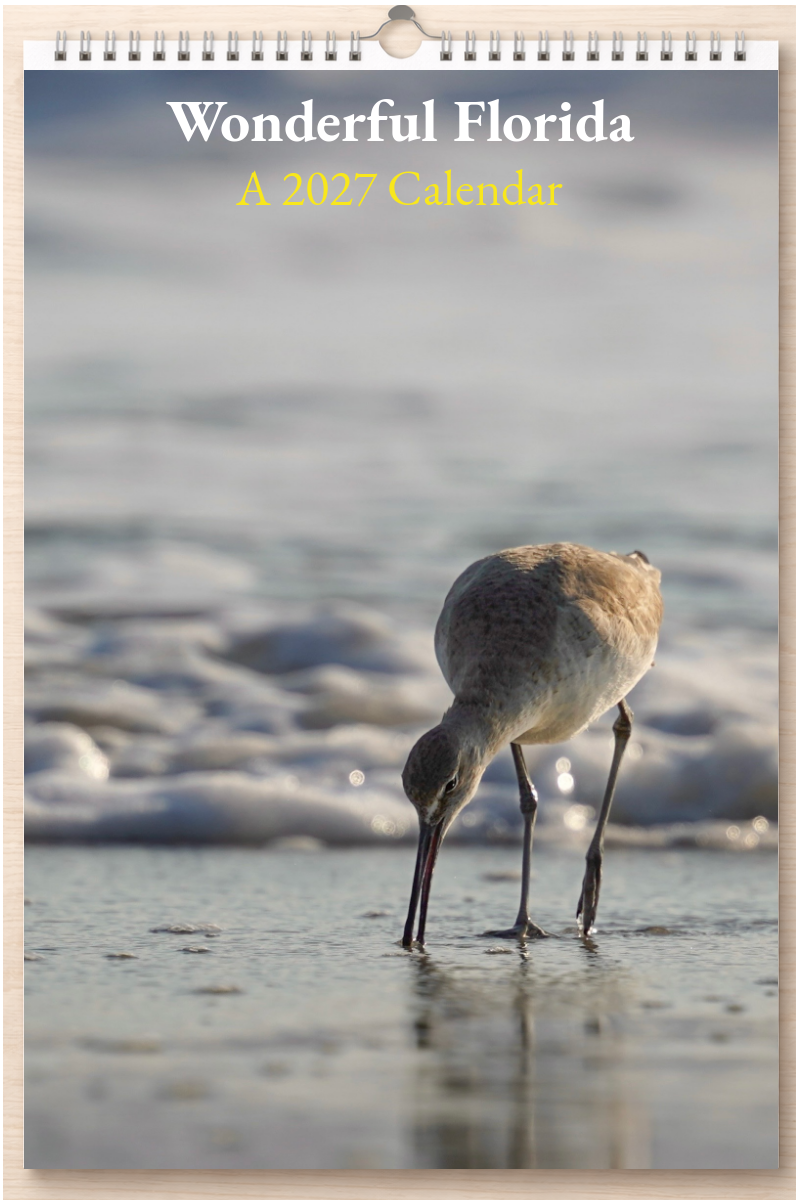 Wonderful Florida: A 2027 Calendar