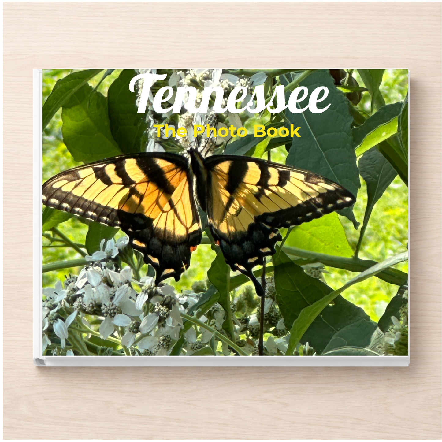 Tennessee: The Photo Book