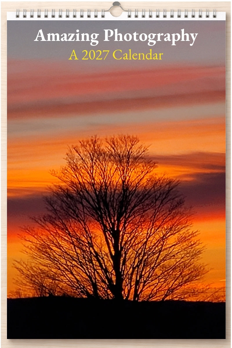 Amazing Photography: A 2027 Calendar