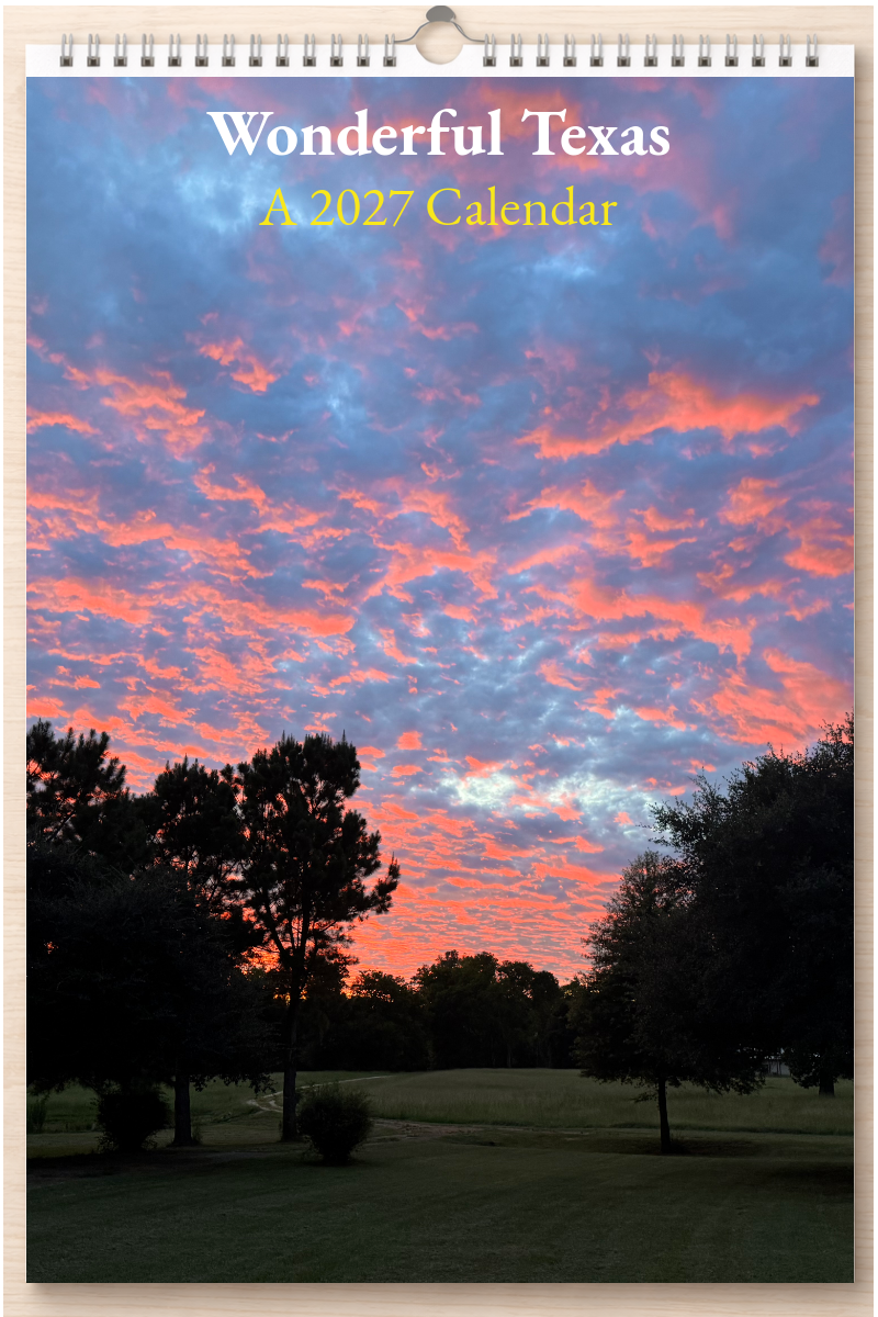 Wonderful Texas: A 2027 Calendar