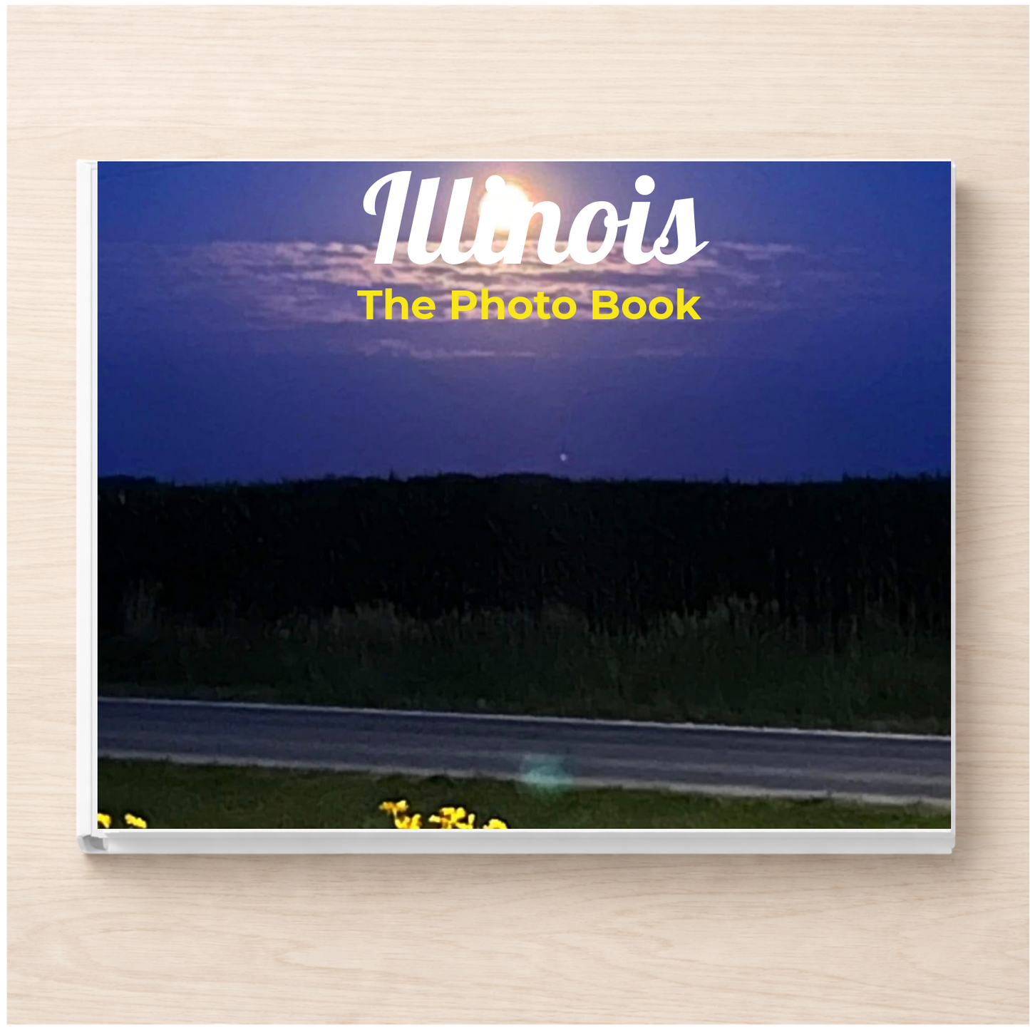 Illinois: The Photo Book