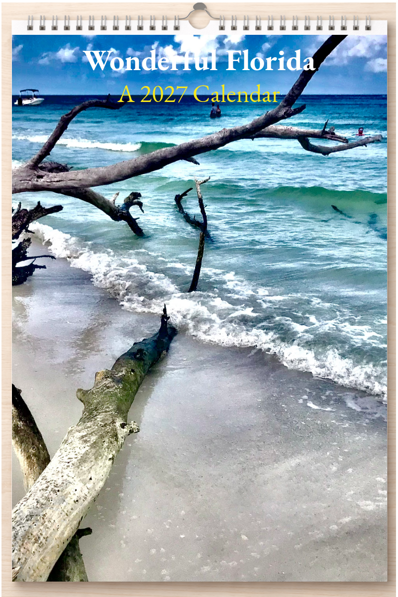 Wonderful Florida: A 2027 Calendar