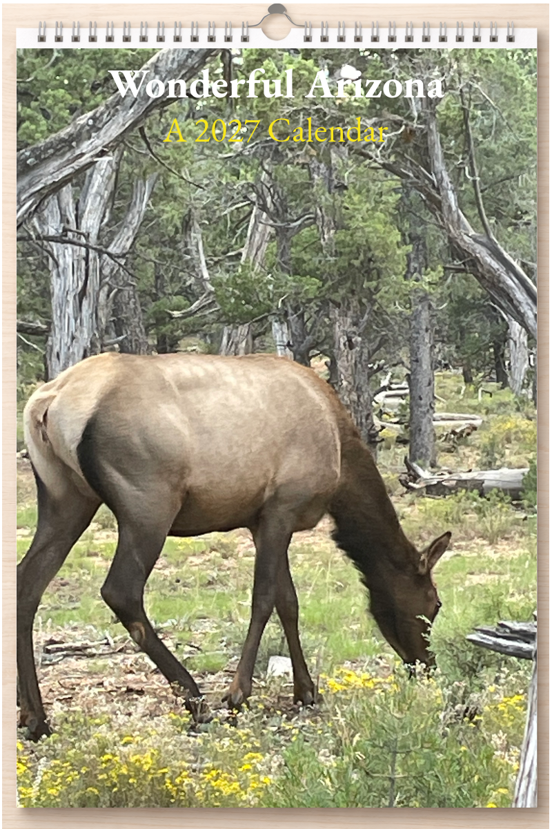 Wonderful Arizona: A 2027 Calendar