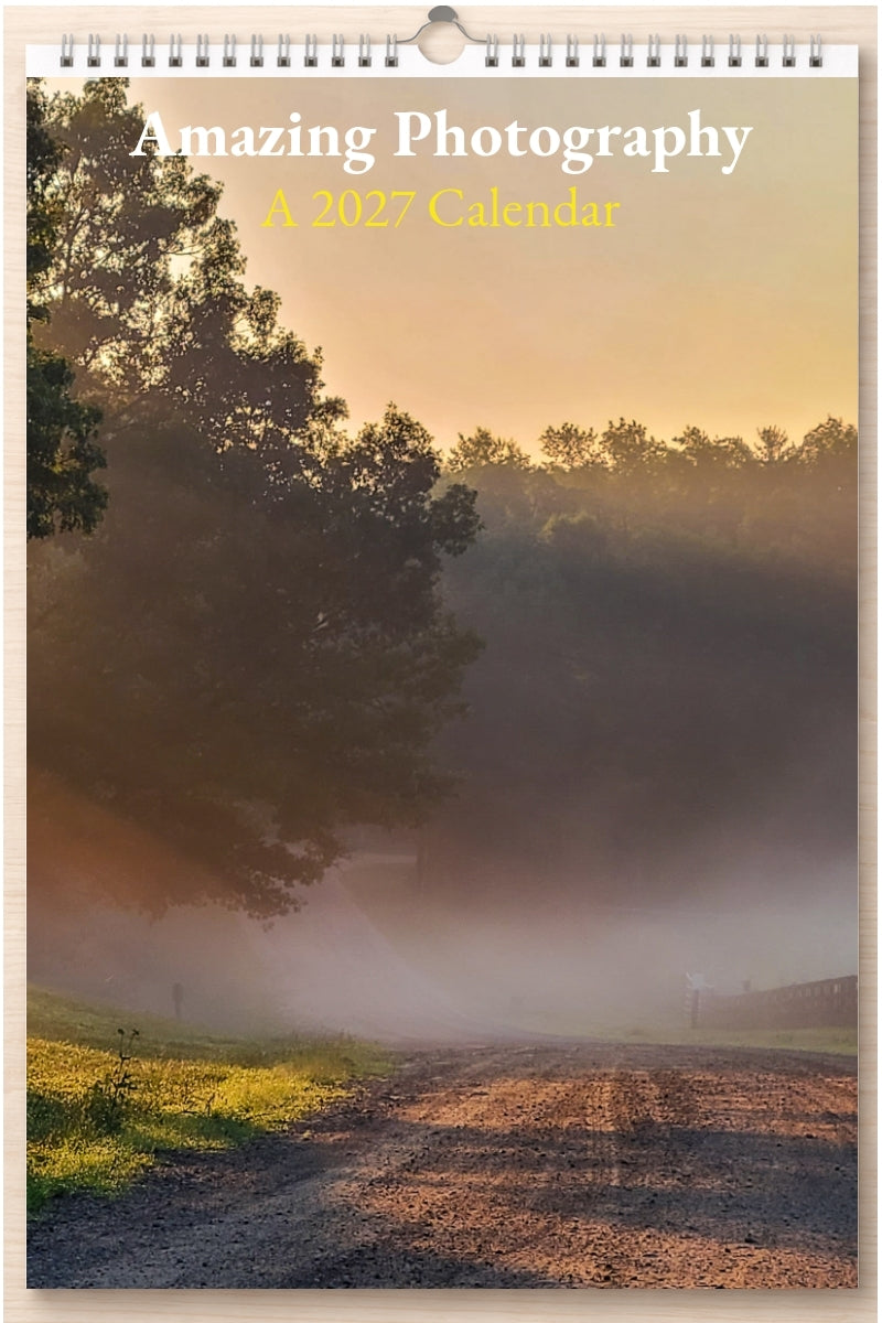 Amazing Photography: A 2027 Calendar