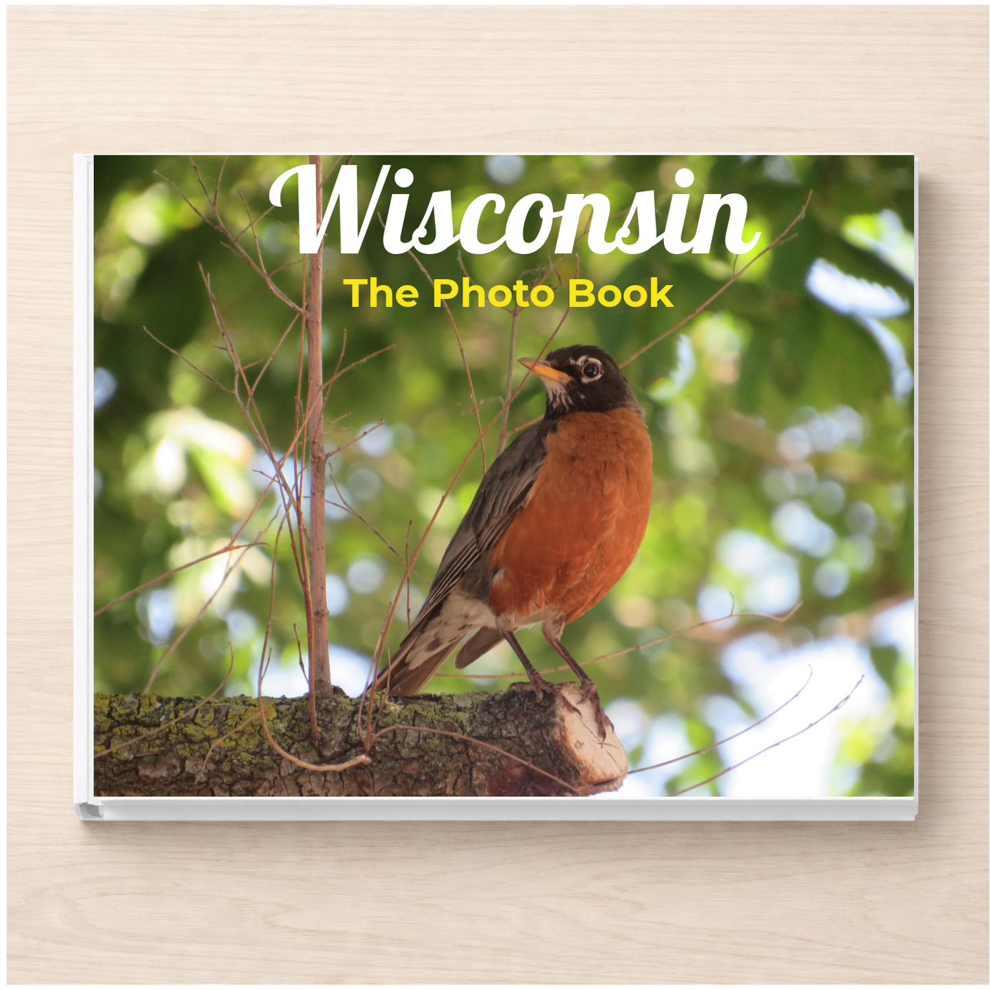 Wisconsin: The Photo Book