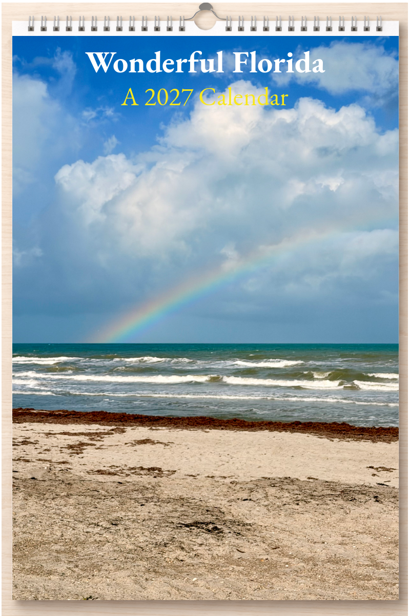 Wonderful Florida: A 2027 Calendar