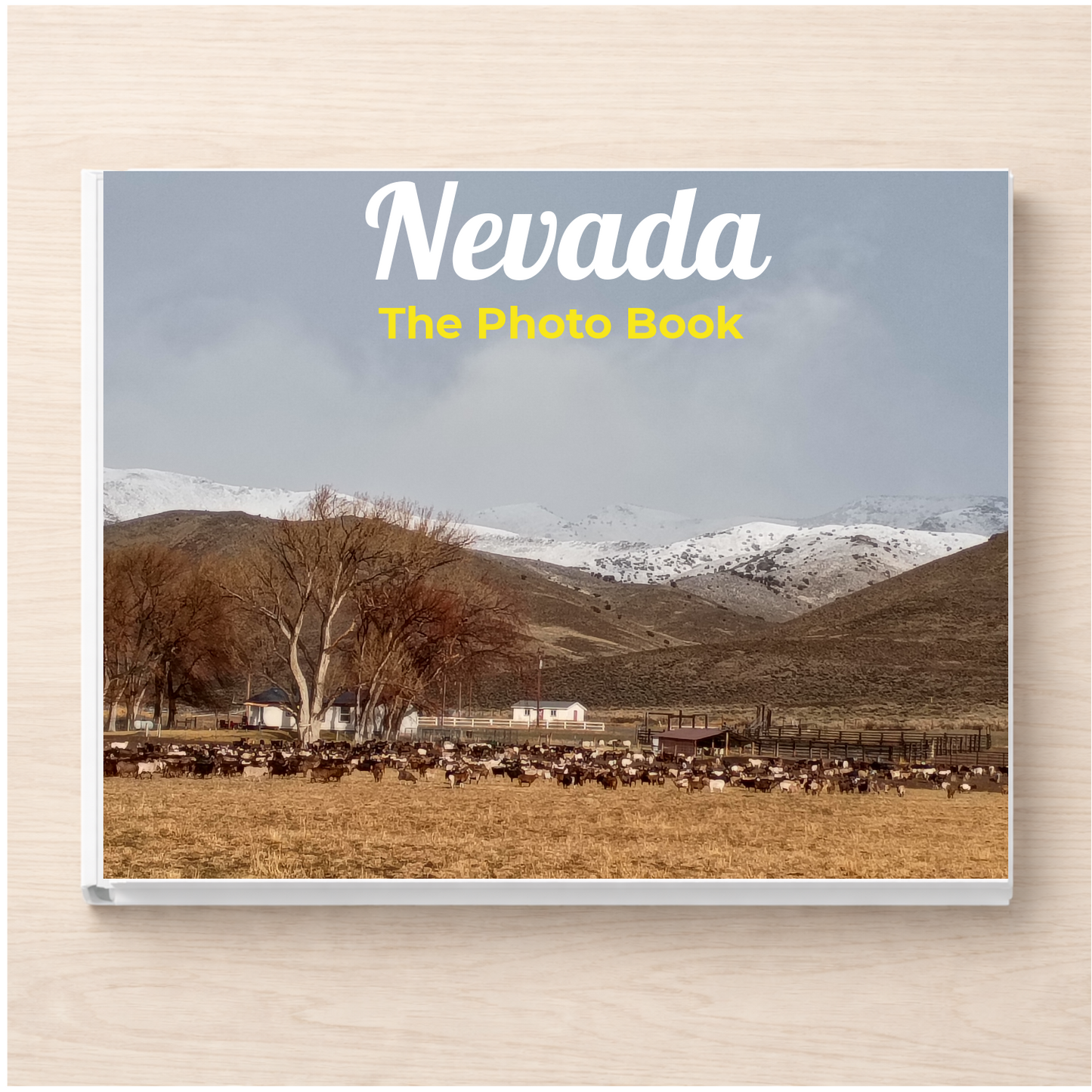 Nevada: The Photo Book