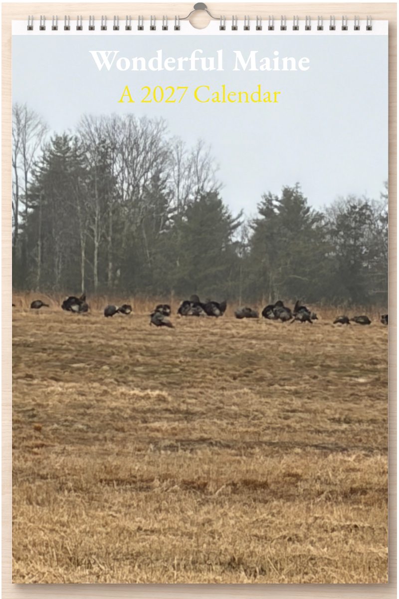 Wonderful Maine: A 2027 Calendar