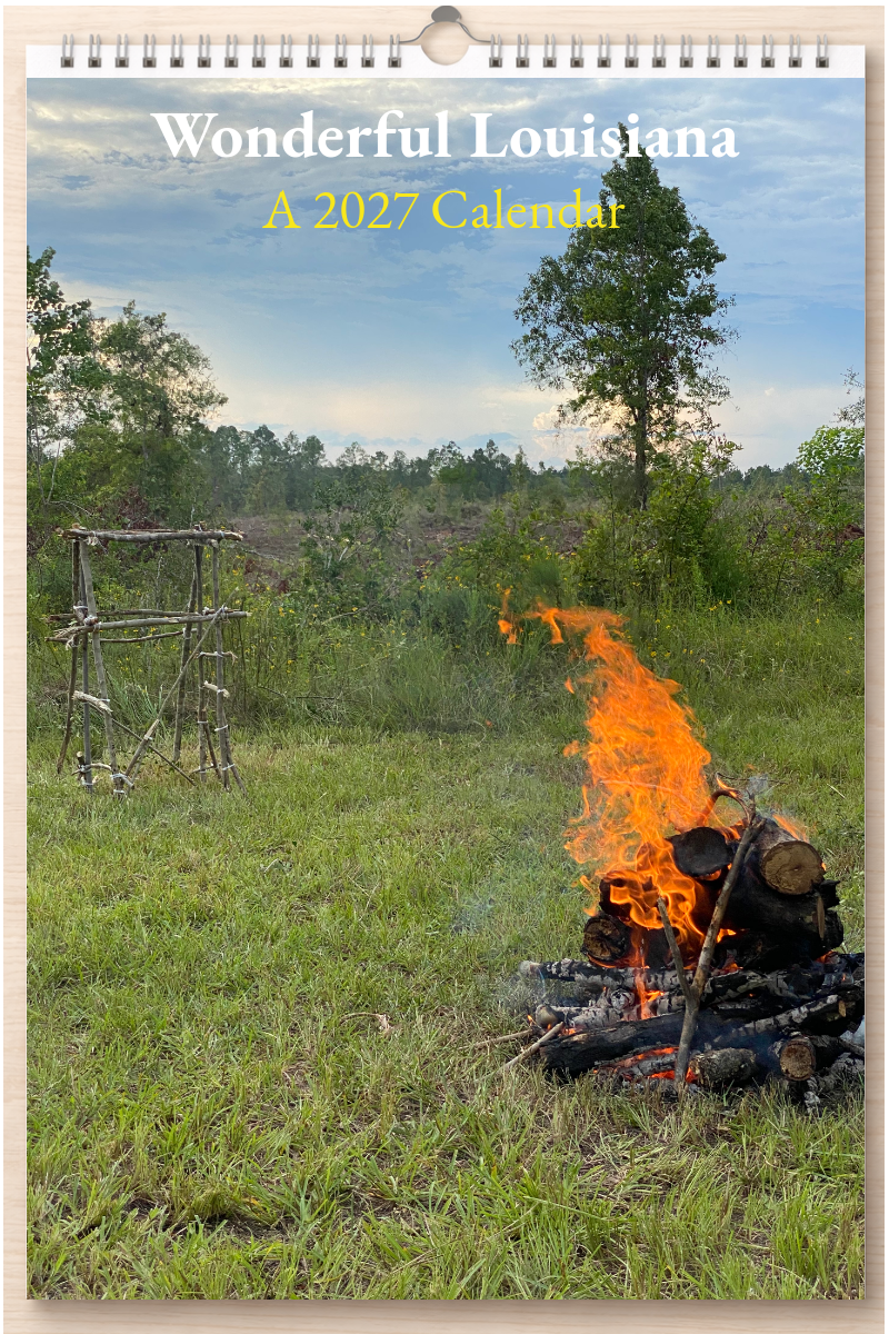 Wonderful Louisiana: A 2027 Calendar