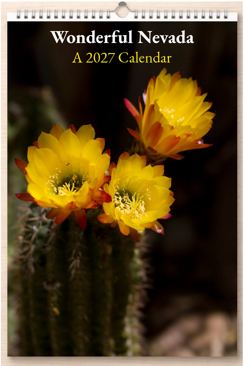 Wonderful Nevada: A 2027 Calendar