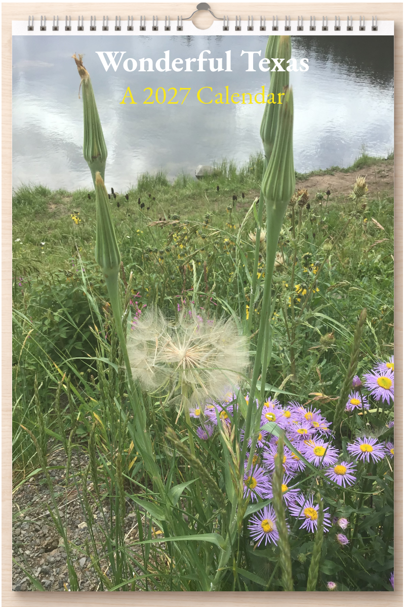 Wonderful Texas: A 2027 Calendar