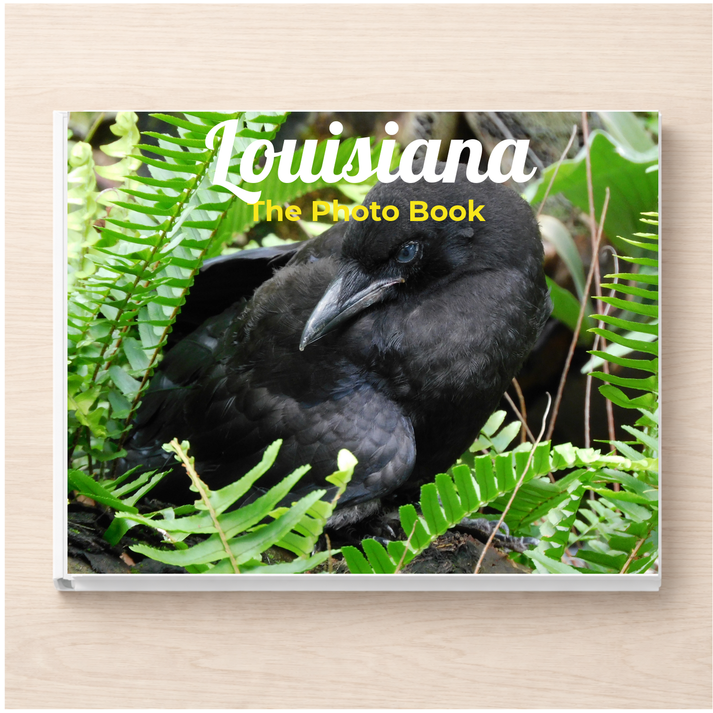Louisiana: The Photo Book