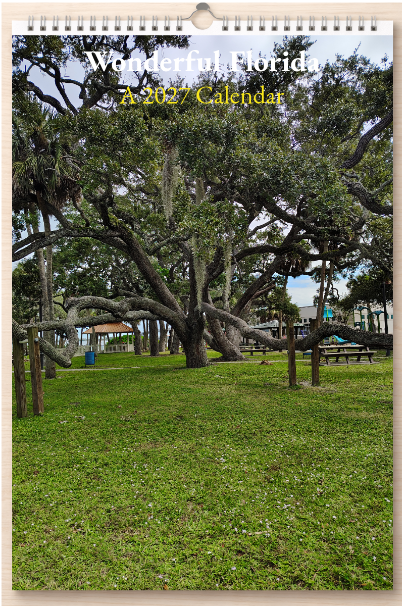 Wonderful Florida: A 2027 Calendar