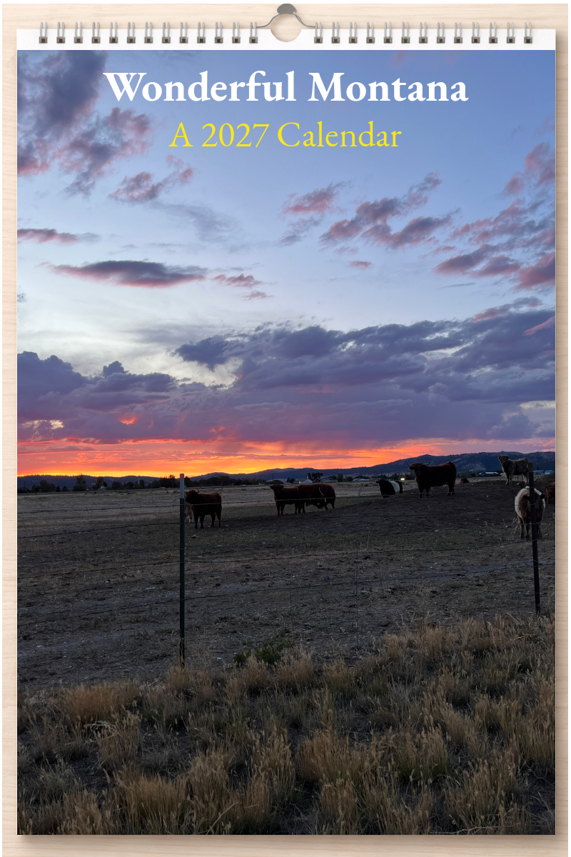 Wonderful Montana: A 2027 Calendar