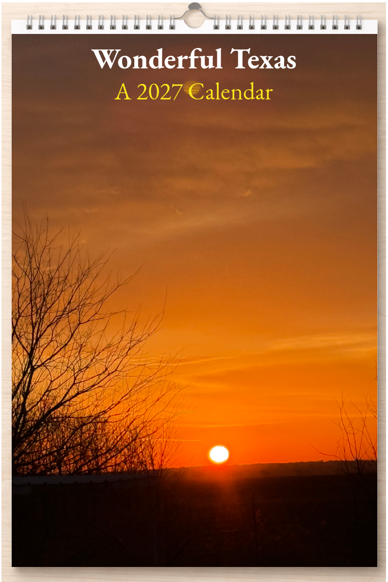 Wonderful Texas: A 2027 Calendar