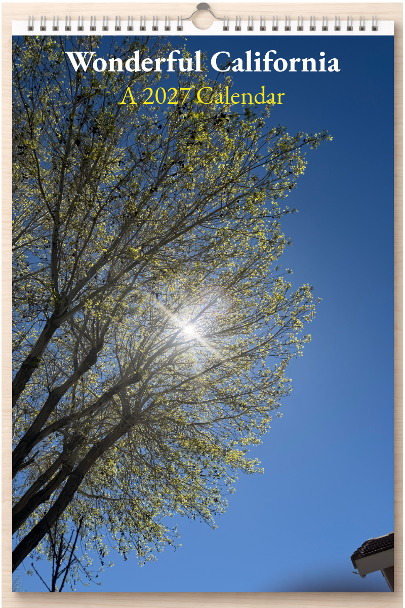 Wonderful California: A 2027 Calendar