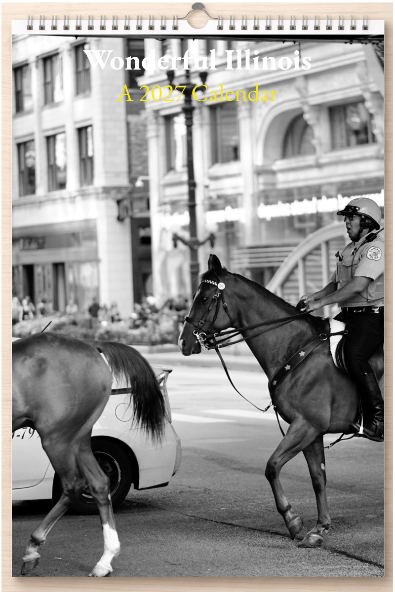 Wonderful Illinois: A 2027 Calendar
