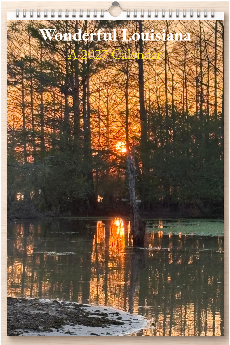 Wonderful Louisiana: A 2027 Calendar