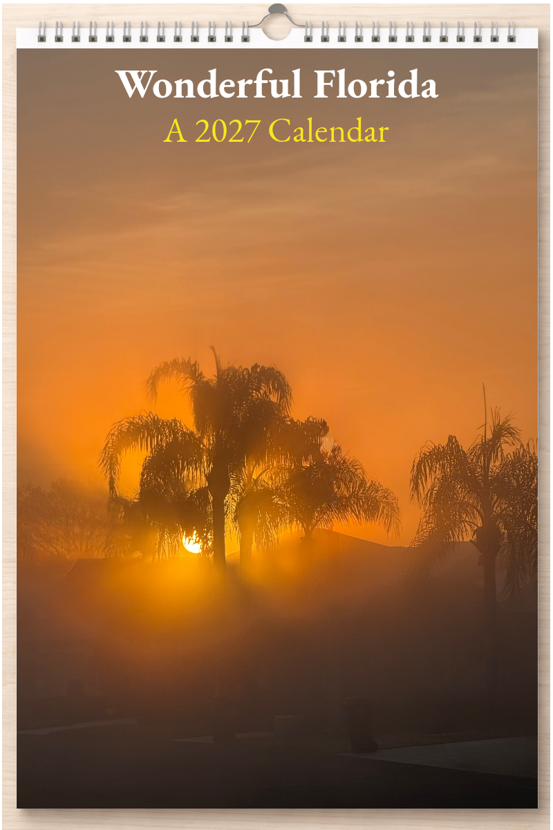Wonderful Florida: A 2027 Calendar