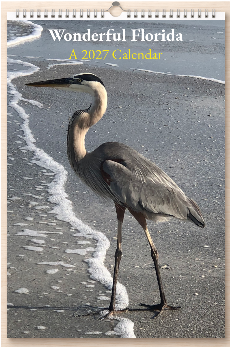 Wonderful Florida: A 2027 Calendar