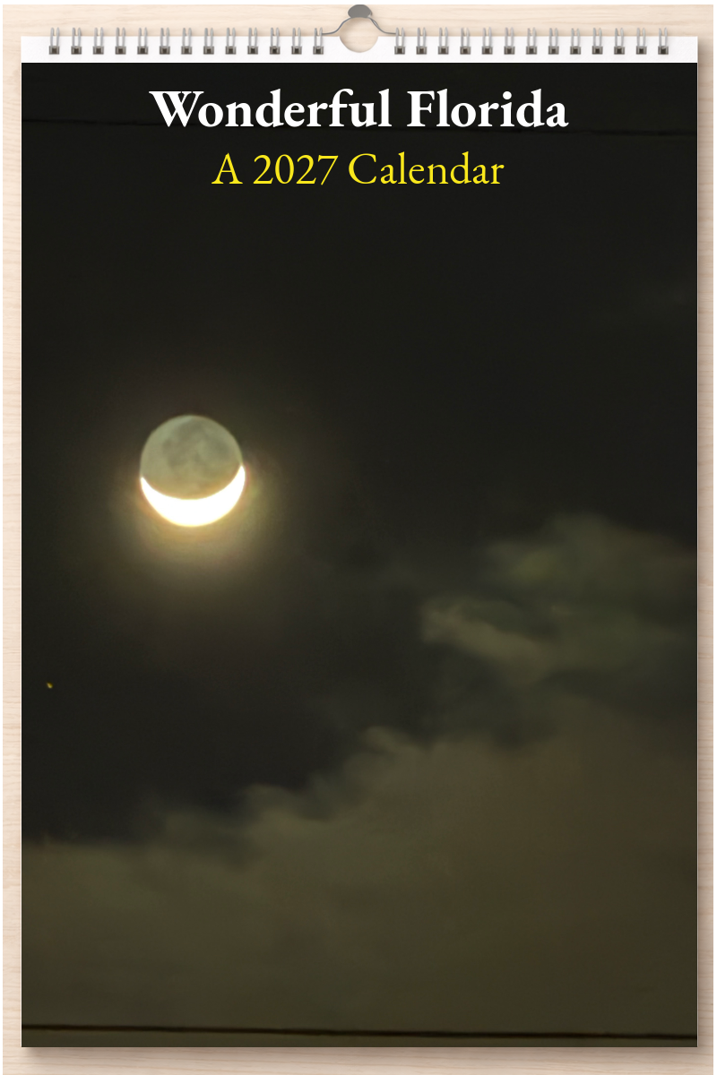 Wonderful Florida: A 2027 Calendar