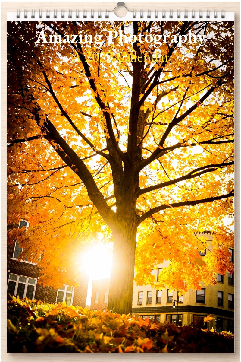 Amazing Photography: A 2027 Calendar